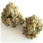 Шишки "White Widow"  (Белая вдова)  Гидропоника -  Бошка VHQ в Новокузнецке