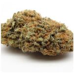 Шишки AK47 (Гидропоника, Бошка) VHQ в Новокузнецке Шишки AK47 (Гидропоника, Бошка) VHQ в Новокузнецке